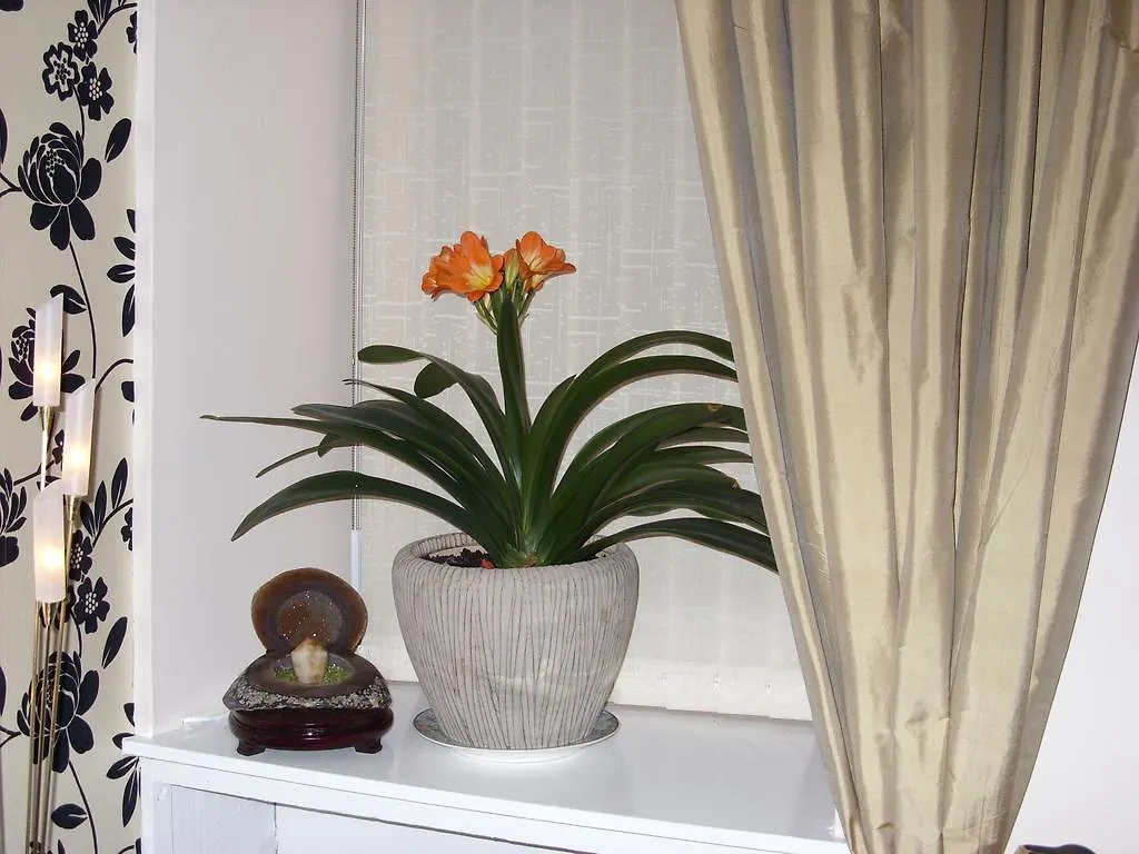 Alba Guest House Aberdeen