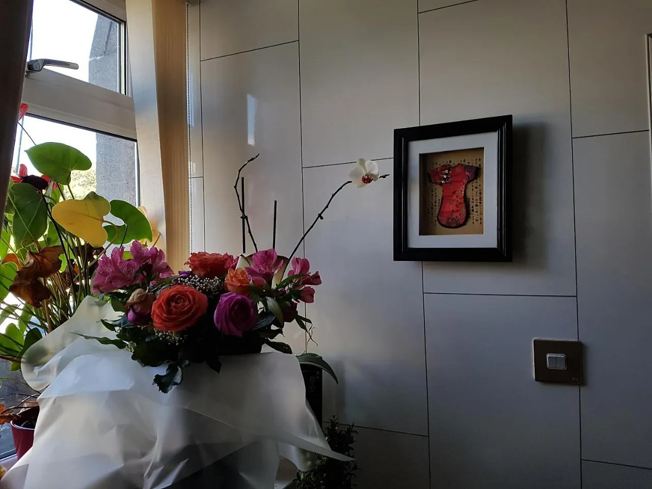 Alba Guest House 阿伯丁 英国